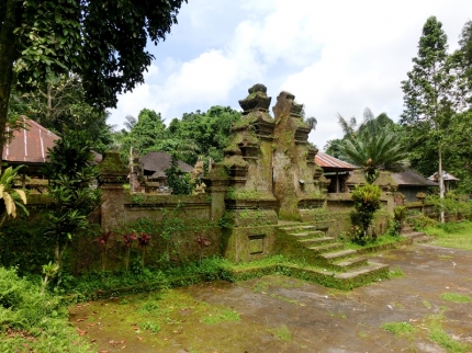 ubud (56)
